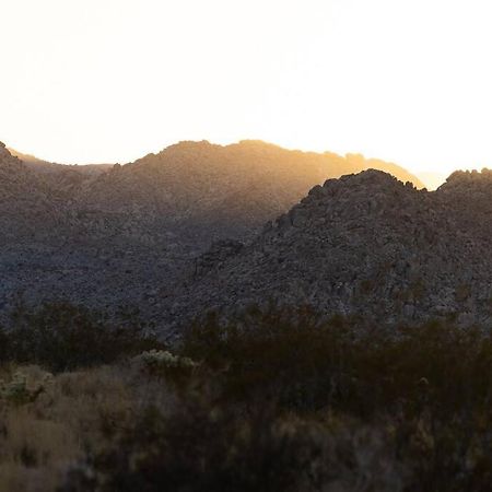 Panoramic Heaven - Luxury Designer Property W Spa Joshua Tree Eksteriør billede