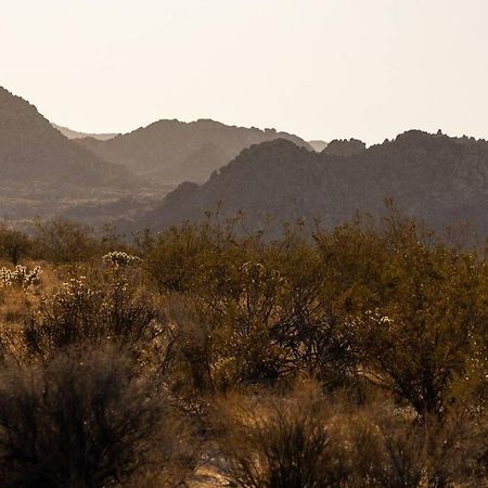 Panoramic Heaven - Luxury Designer Property W Spa Joshua Tree Eksteriør billede