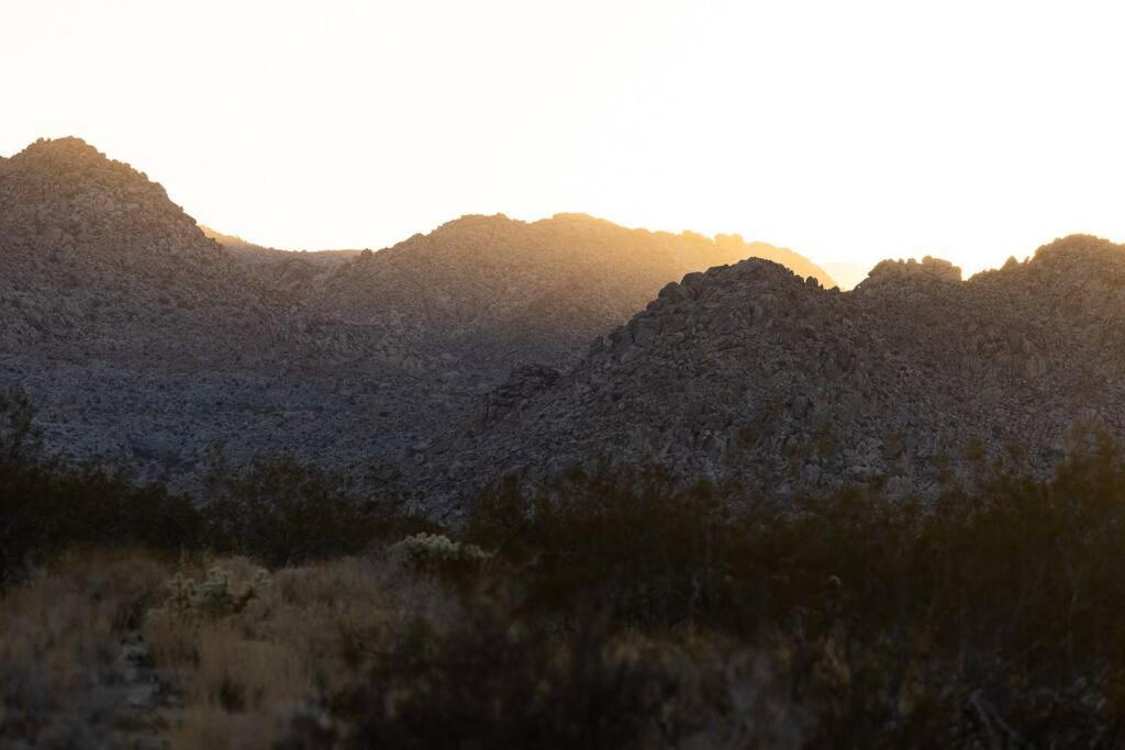 Panoramic Heaven - Luxury Designer Property W Spa Joshua Tree Eksteriør billede