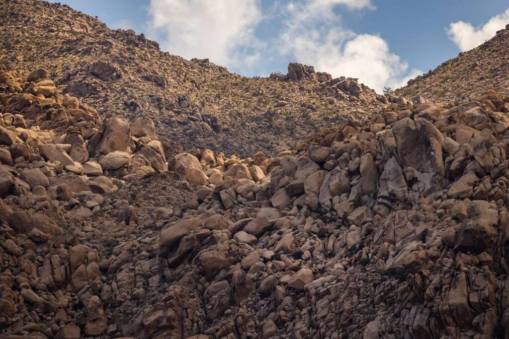 Panoramic Heaven - Luxury Designer Property W Spa Joshua Tree Eksteriør billede