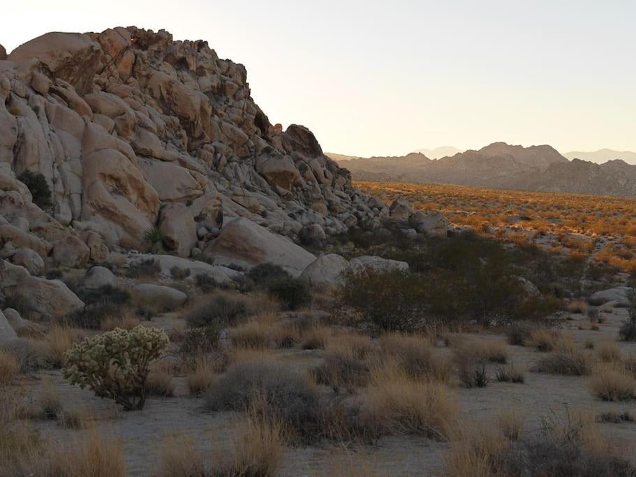 Panoramic Heaven - Luxury Designer Property W Spa Joshua Tree Eksteriør billede