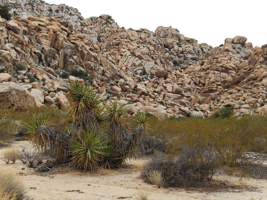 Panoramic Heaven - Luxury Designer Property W Spa Joshua Tree Eksteriør billede