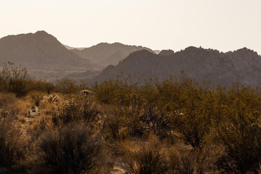 Panoramic Heaven - Luxury Designer Property W Spa Joshua Tree Eksteriør billede